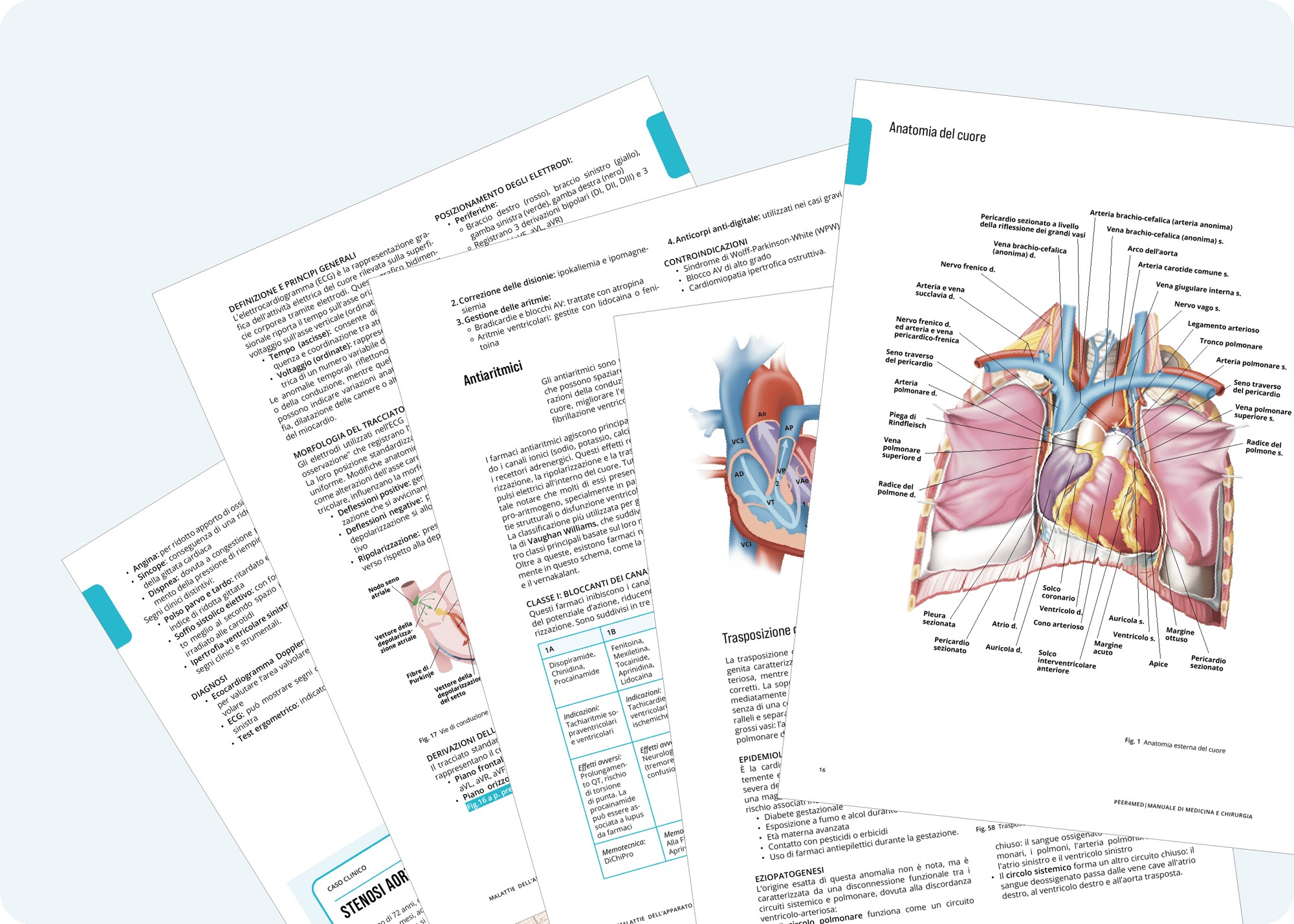P4M_Manuale_Medicina_Chirurgia_Interni